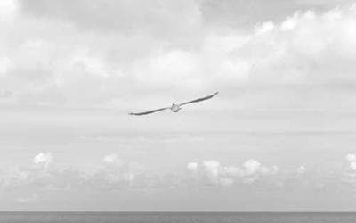 Digital Marketing Trends for 2024